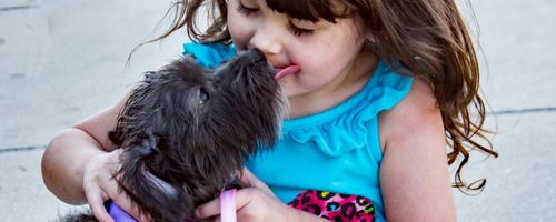How to keep kids and pets happy in the car on long trips