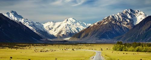 New Zealand’s Great Road Trips