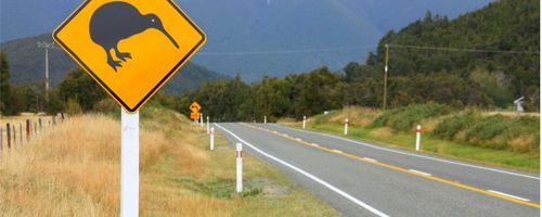 A Guide to Safe Roads & Even Safer Road Trips
