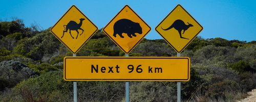 What You Need to Know about Driving in Australia