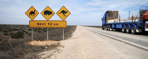AUS vs NZ: Driving Rules and Road Conditions