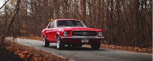 The Best Muscle Cars to Bring to New Zealand
