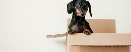 How to Move Your World with Ease