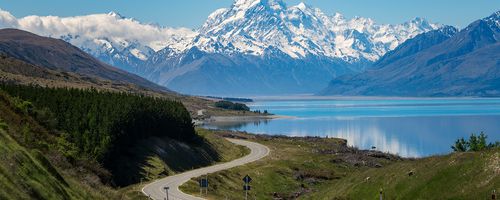 Stay Safe on NZ Roads