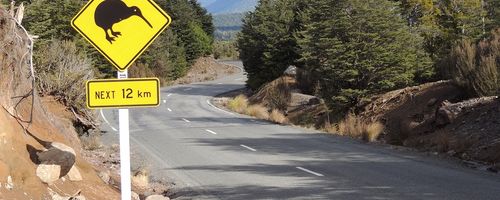 How to Import Cars to New Zealand